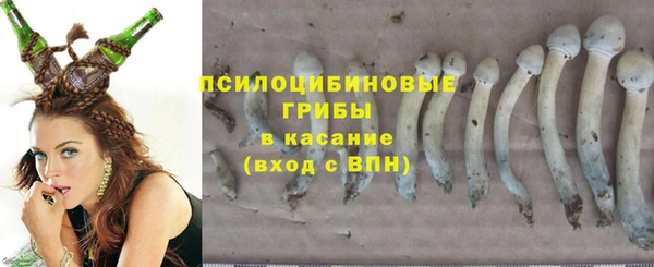 круглые Вязьма
