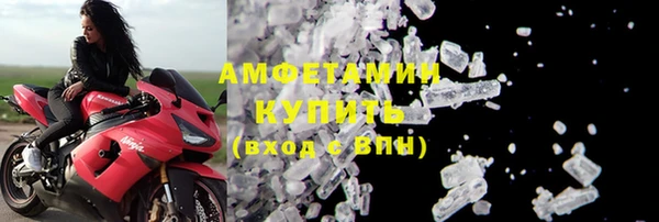 гидра Володарск