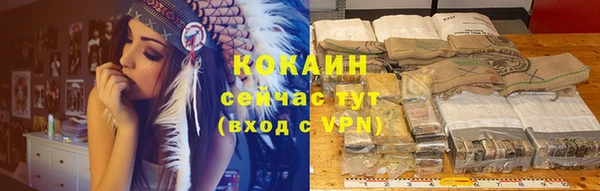 гидра Володарск