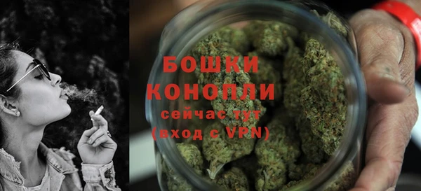 гидра Володарск