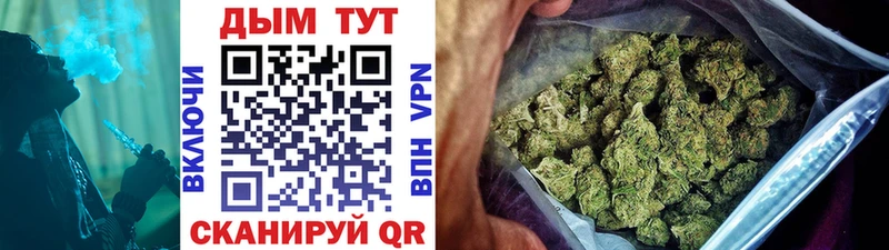 Марихуана Amnesia Купить Судогда